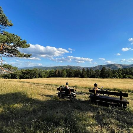 Апартаменти Bergrauschen - Waldloft - Preise Inklusive Waesche Гослар Екстер'єр фото