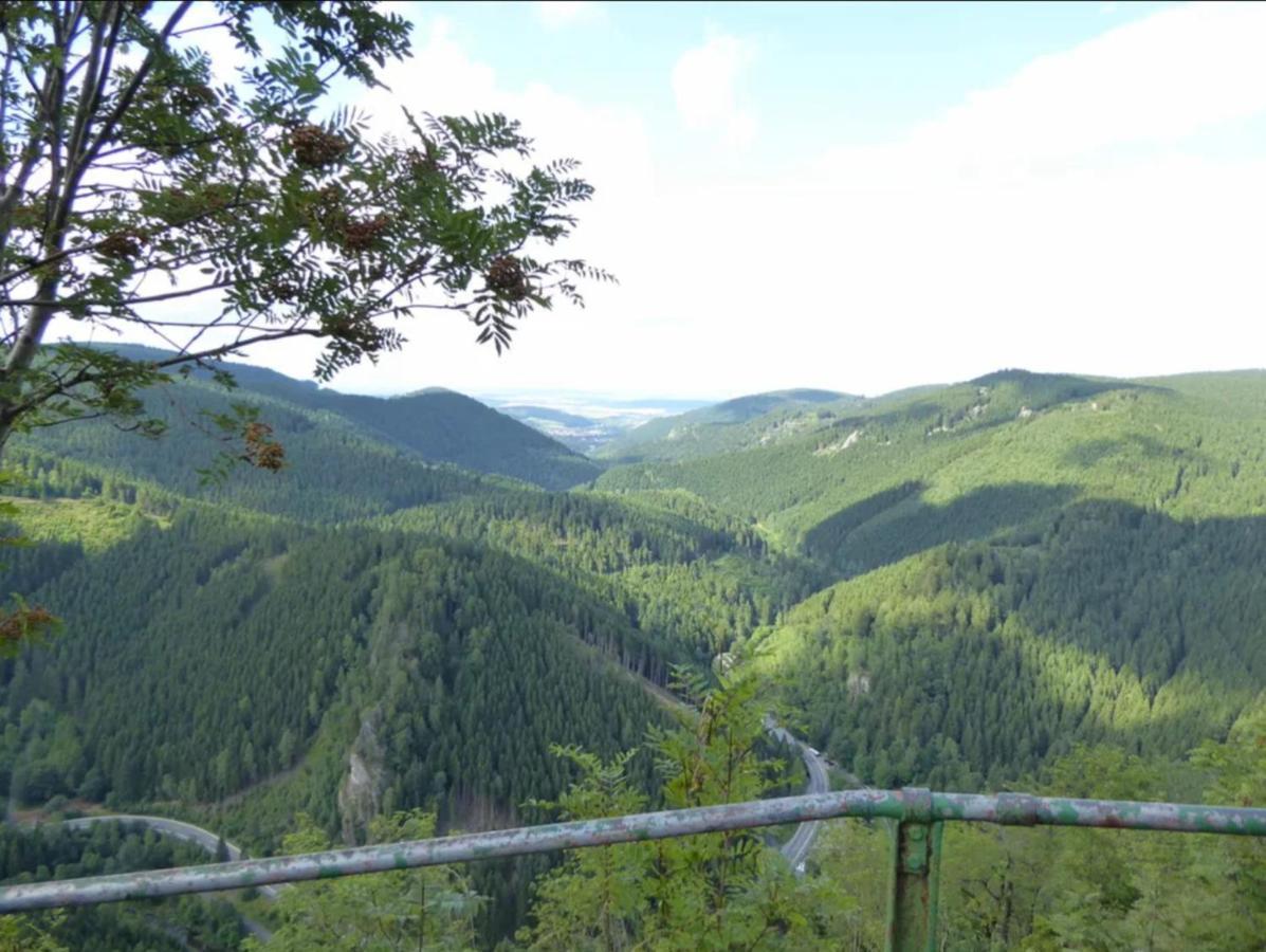 Апартаменти Bergrauschen - Waldloft - Preise Inklusive Waesche Гослар Екстер'єр фото