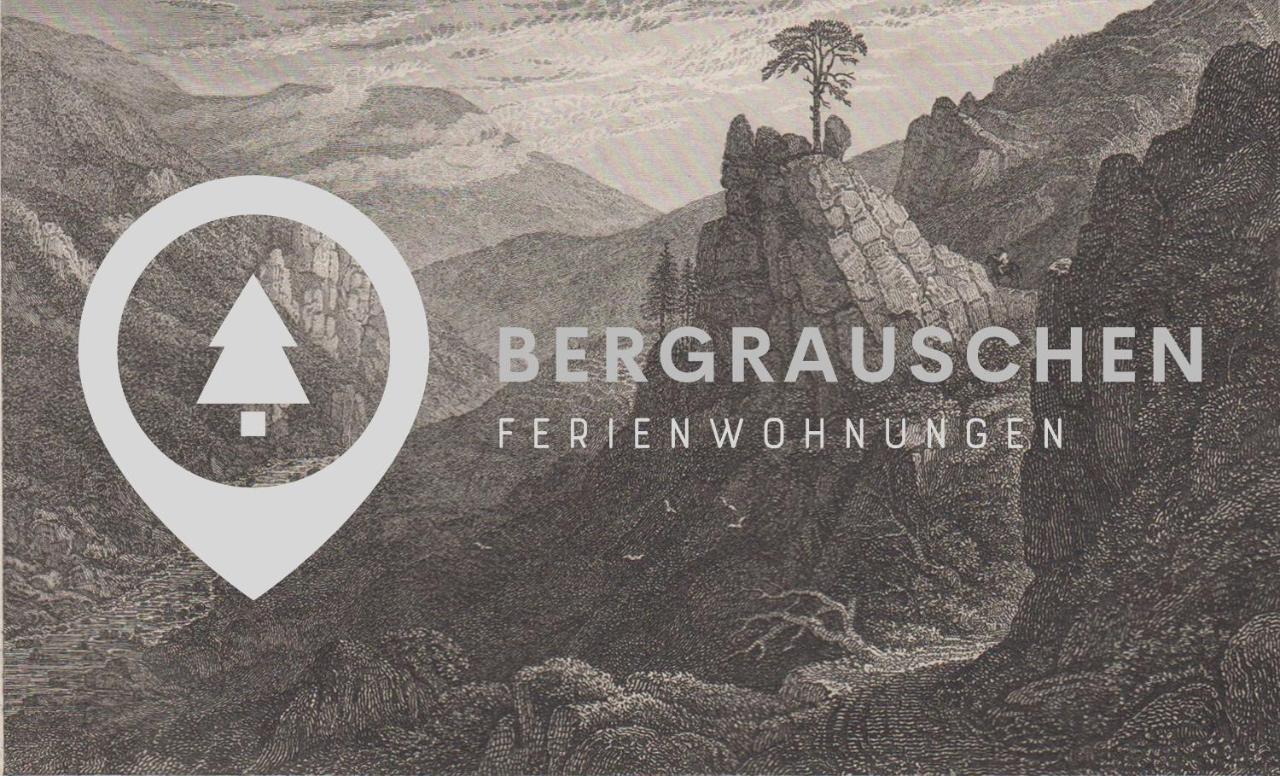 Апартаменти Bergrauschen - Waldloft - Preise Inklusive Waesche Гослар Екстер'єр фото