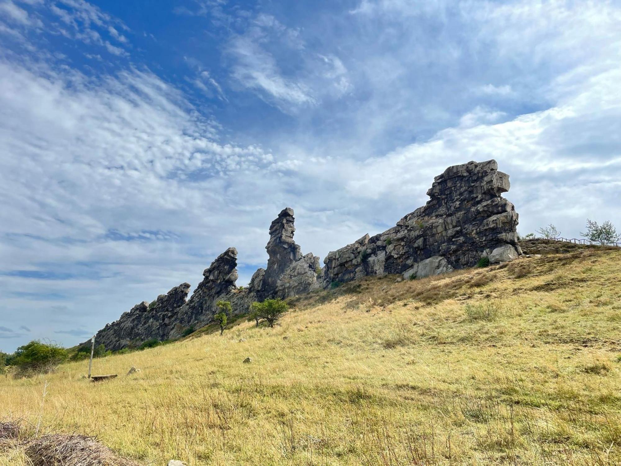 Апартаменти Bergrauschen - Waldloft - Preise Inklusive Waesche Гослар Екстер'єр фото